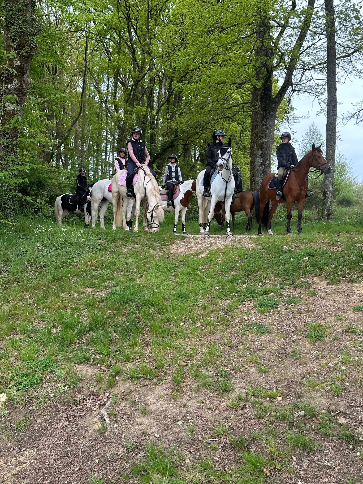 WhatsApp Image 2025-04-17 at 19.06.05 (2)