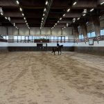 WhatsApp Image 2026-02-01 at 13.42.19