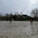 WhatsApp Image 2026-02-01 at 13.42.19 (5)