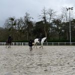 WhatsApp Image 2026-02-01 at 13.42.19 (7)